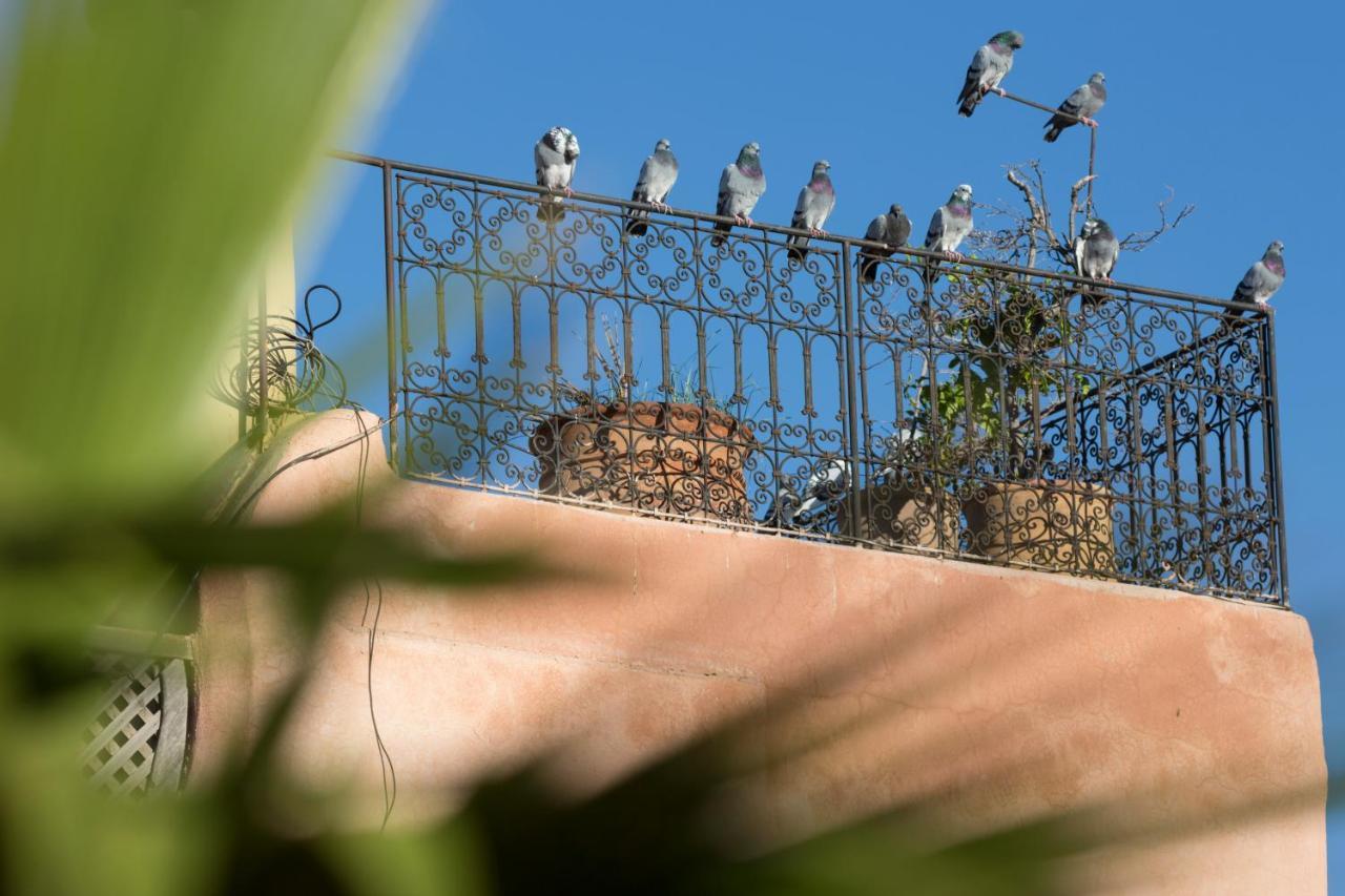 Riad El Maktoub Маракеш Екстериор снимка
